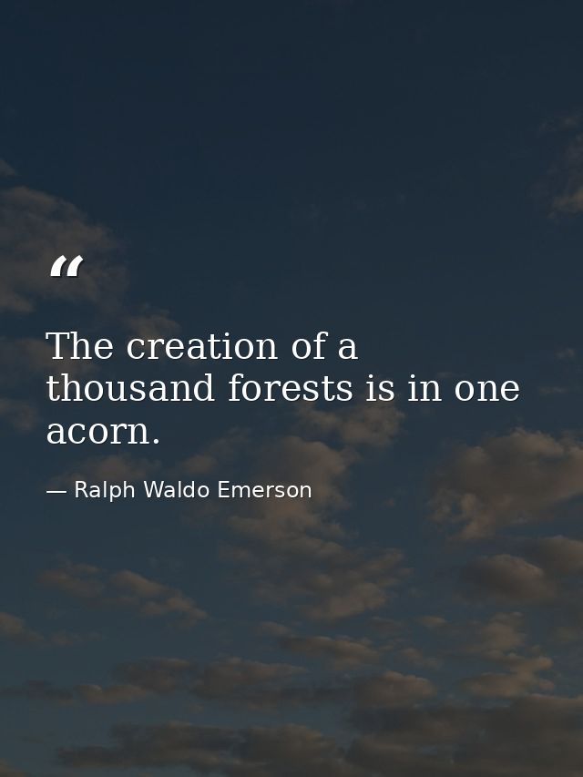 The creation of a thousand forests is in one acorn. — Ralph Waldo Emerson
