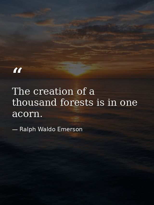 The creation of a thousand forests is in one acorn. — Ralph Waldo Emerson