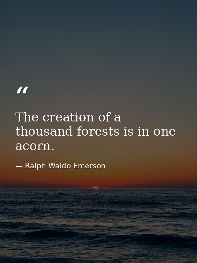 The creation of a thousand forests is in one acorn. — Ralph Waldo Emerson