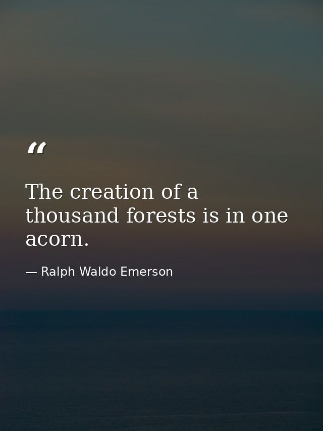 The creation of a thousand forests is in one acorn. — Ralph Waldo Emerson
