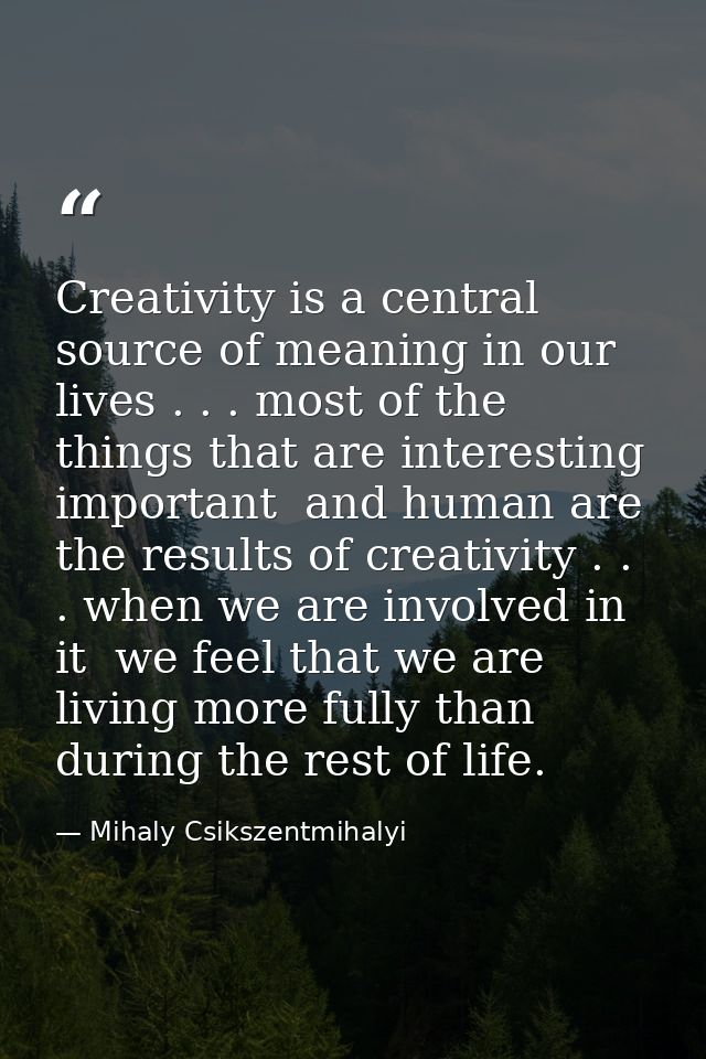 Creativity is a central source of meaning in our lives . . . most of the things that are interesting  important  and hum — Mihaly Csikszentmihalyi