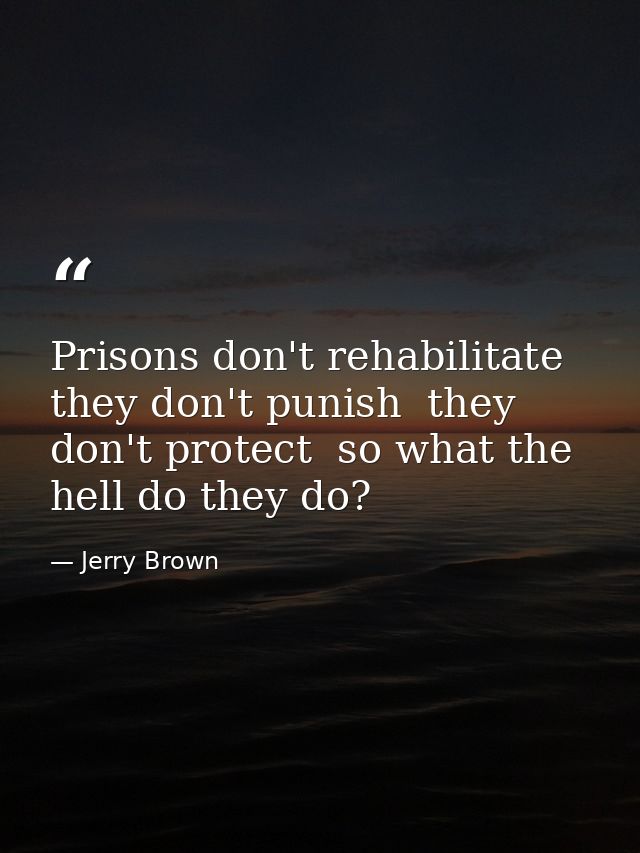 Prisons don't rehabilitate  they don't punish  they don't protect  so what the hell do they do? — Jerry Brown