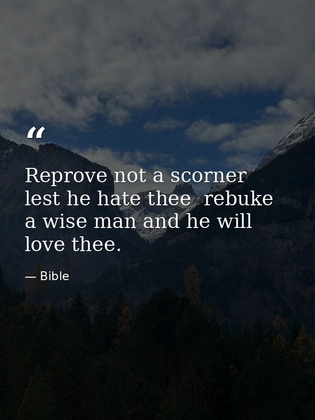 Reprove not a scorner  lest he hate thee  rebuke a wise man and he will love thee. — Bible