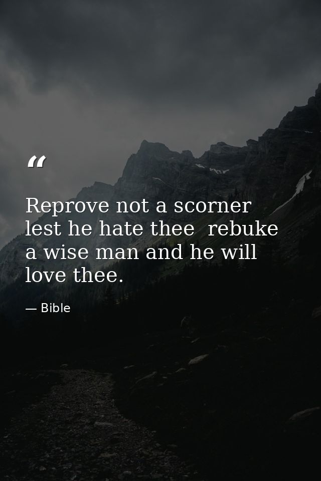 Reprove not a scorner  lest he hate thee  rebuke a wise man and he will love thee. — Bible
