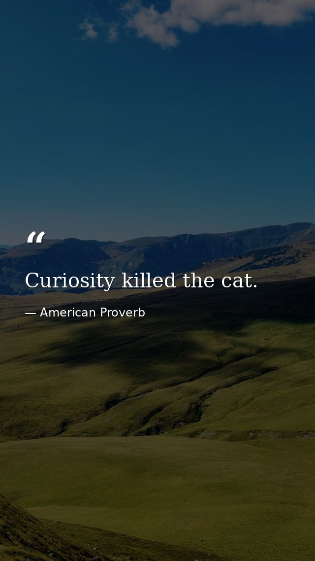Curiosity killed the cat. — American Proverb