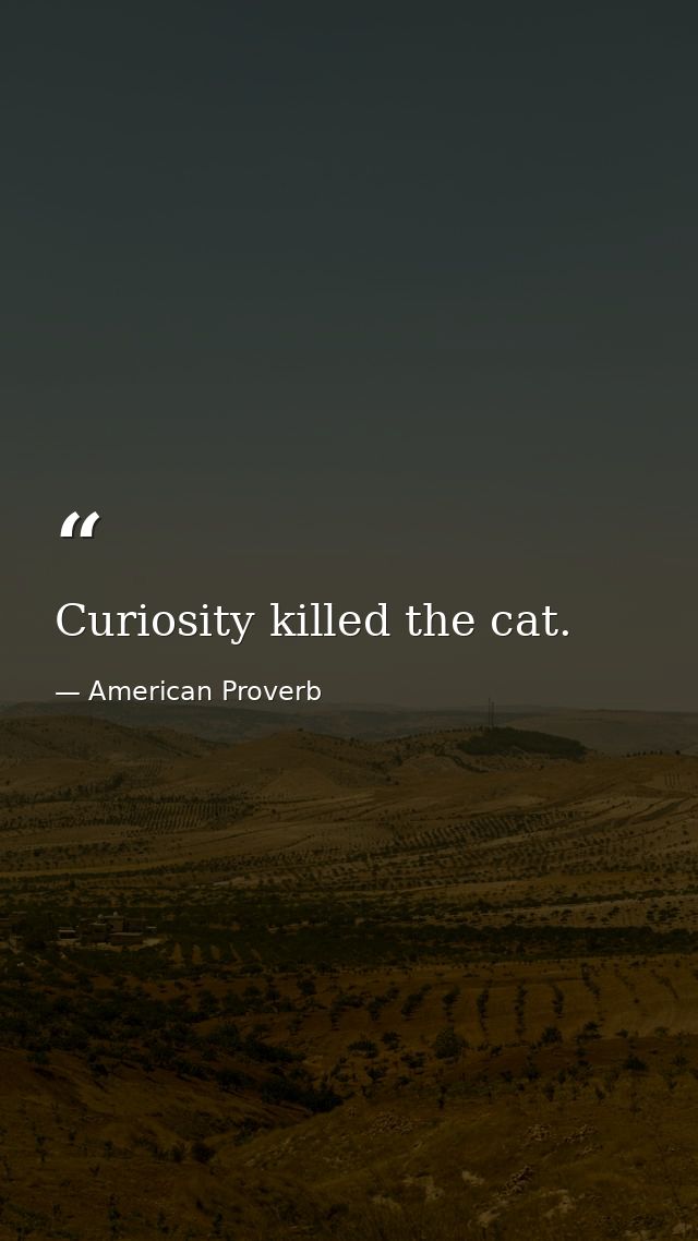 Curiosity killed the cat. — American Proverb