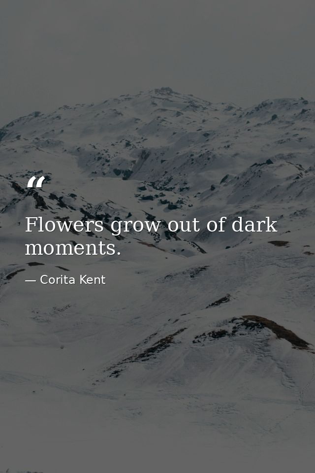 Flowers grow out of dark moments. — Corita Kent