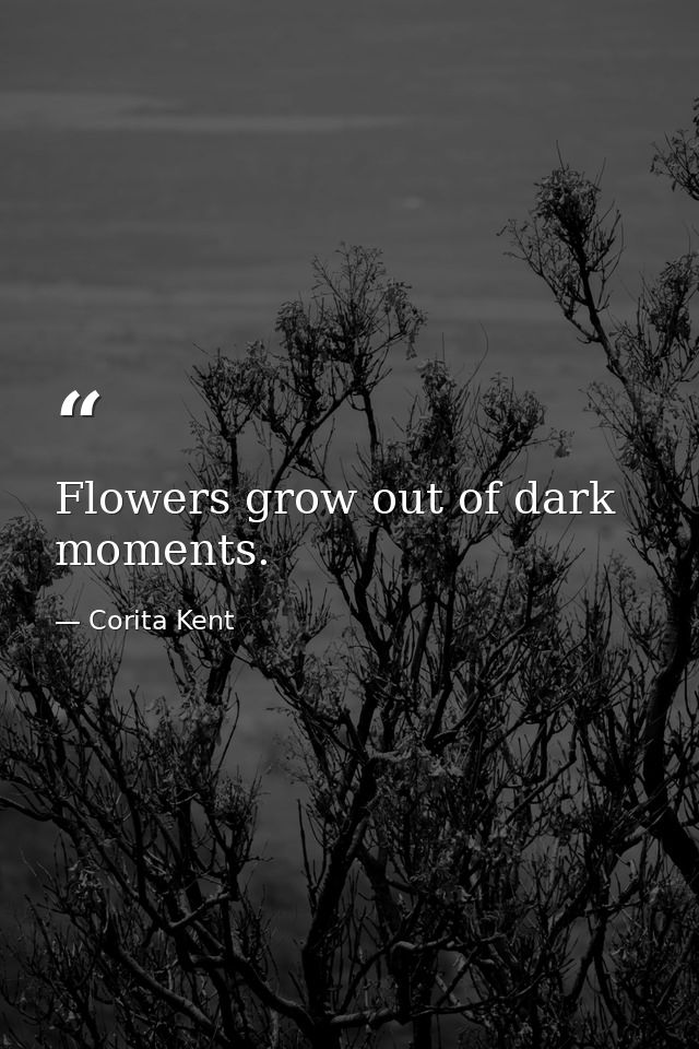 Flowers grow out of dark moments. — Corita Kent
