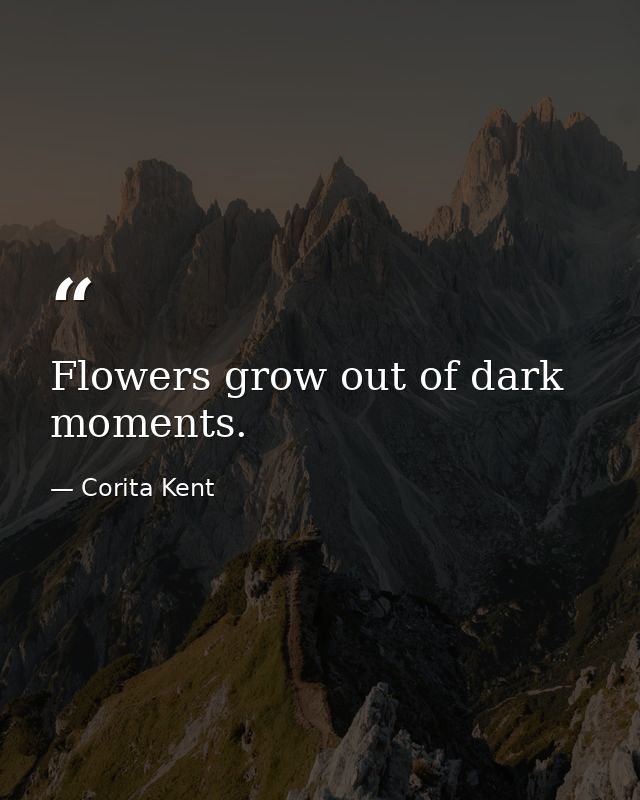 Flowers grow out of dark moments. — Corita Kent