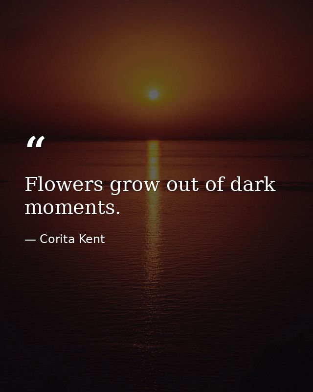 Flowers grow out of dark moments. — Corita Kent