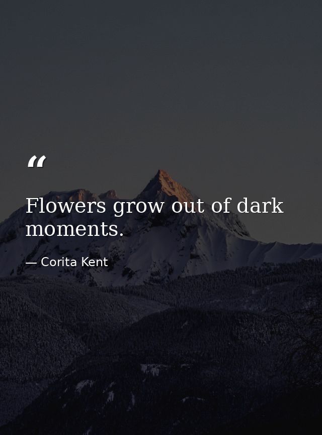 Flowers grow out of dark moments. — Corita Kent