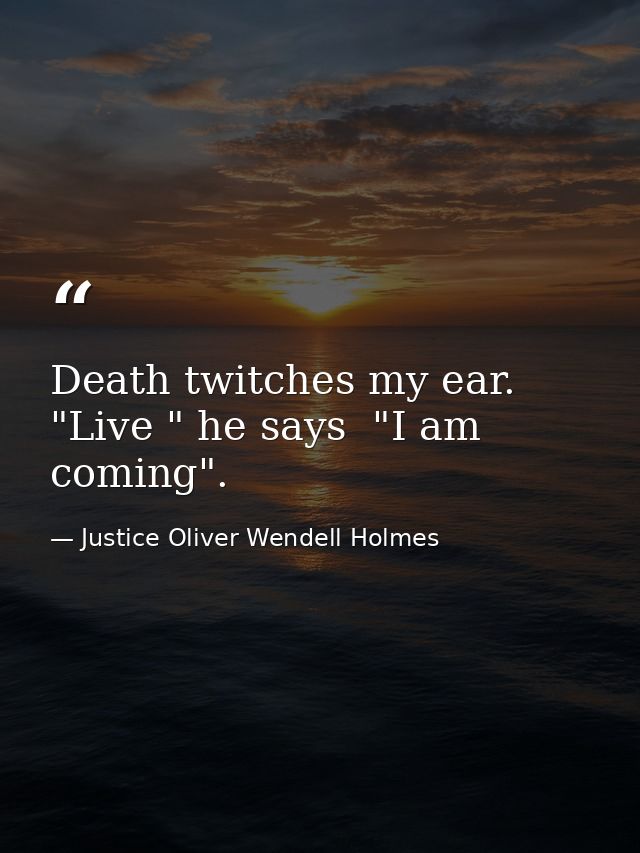 Death twitches my ear. "Live " he says  "I am coming". — Justice Oliver Wendell Holmes