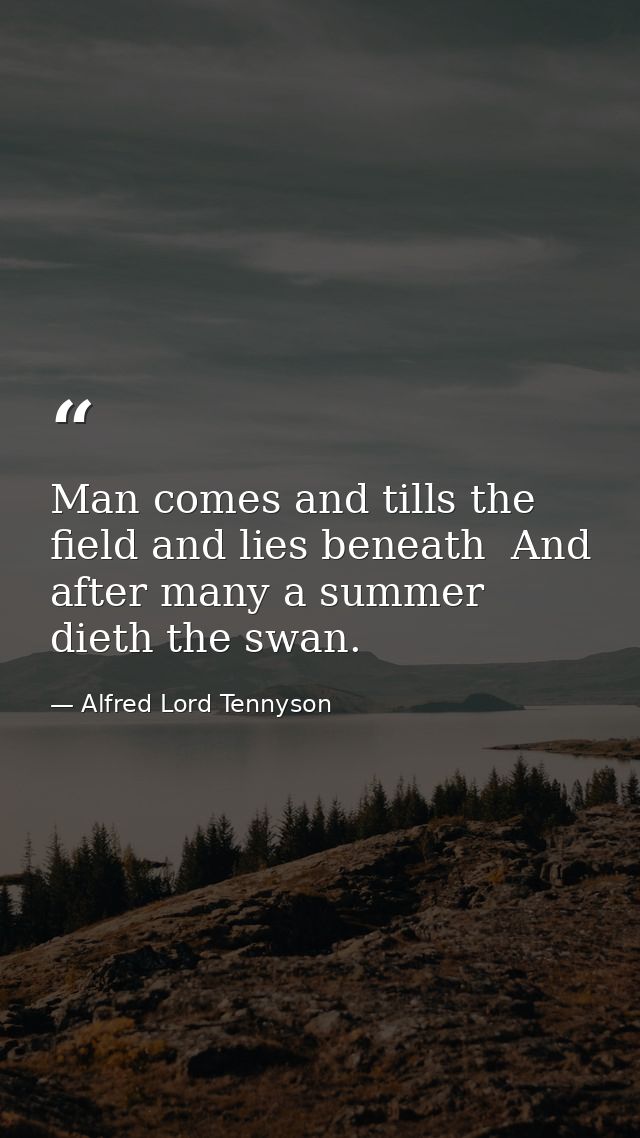 Man comes and tills the field and lies beneath  And after many a summer dieth the swan. — Alfred Lord Tennyson
