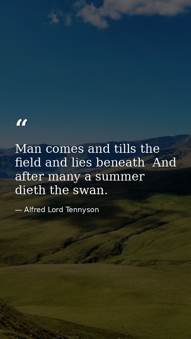 Man comes and tills the field and lies beneath  And after many a summer dieth the swan. — Alfred Lord Tennyson