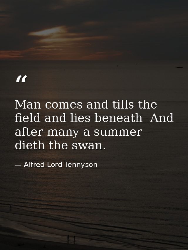 Man comes and tills the field and lies beneath  And after many a summer dieth the swan. — Alfred Lord Tennyson
