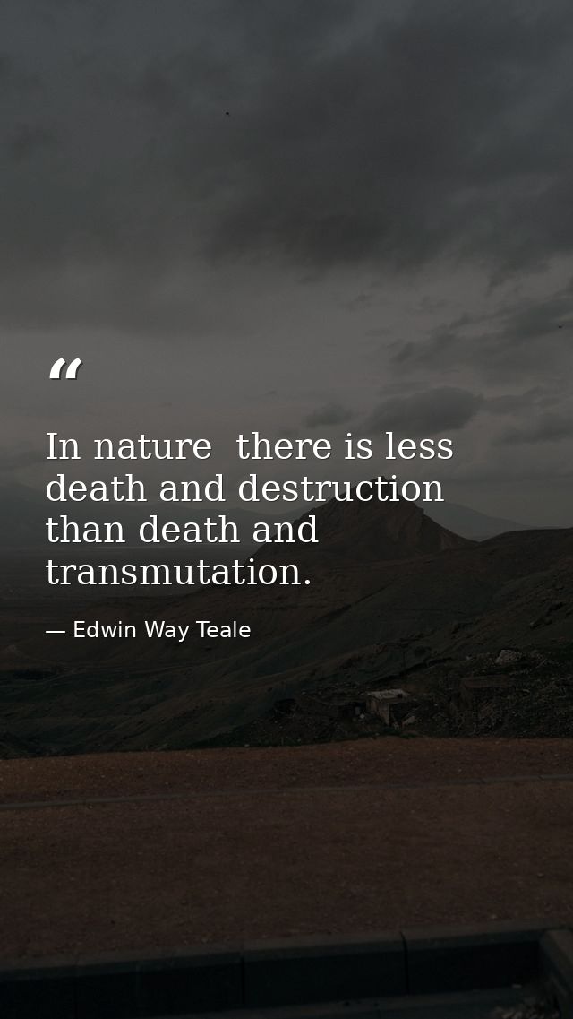 In nature  there is less death and destruction than death and transmutation. — Edwin Way Teale