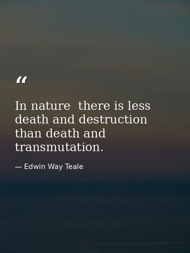 In nature  there is less death and destruction than death and transmutation. — Edwin Way Teale