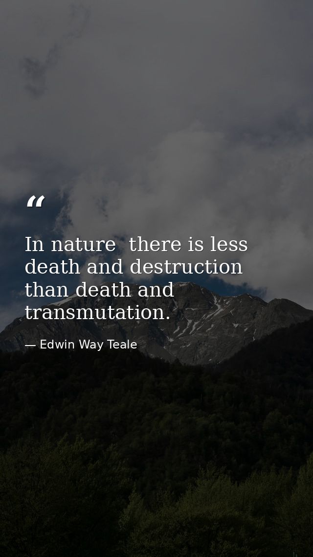 In nature  there is less death and destruction than death and transmutation. — Edwin Way Teale