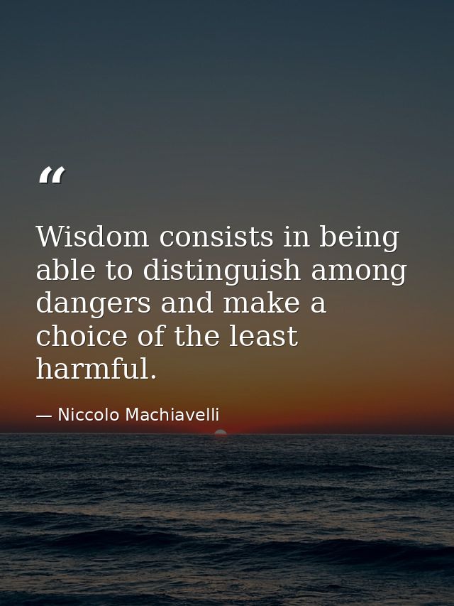 Wisdom consists in being able to distinguish among dangers and make a choice of the least harmful. — Niccolo Machiavelli