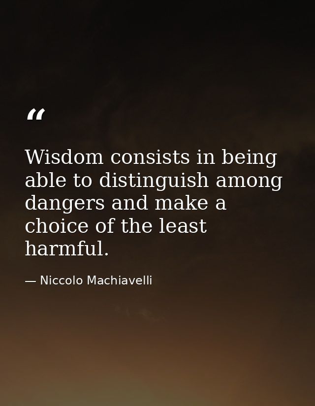 Wisdom consists in being able to distinguish among dangers and make a choice of the least harmful. — Niccolo Machiavelli