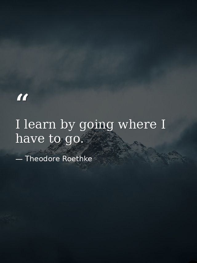 I learn by going where I have to go. — Theodore Roethke
