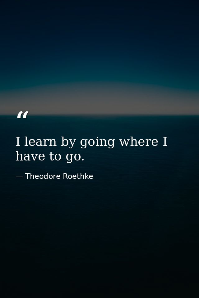 I learn by going where I have to go. — Theodore Roethke