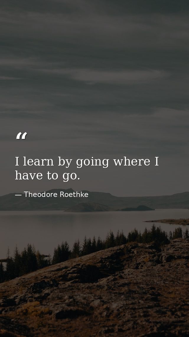 I learn by going where I have to go. — Theodore Roethke
