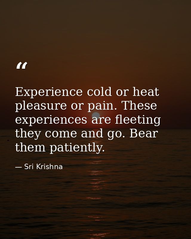Experience cold or heat  pleasure or pain. These experiences are fleeting  they come and go. Bear them patiently. — Sri Krishna