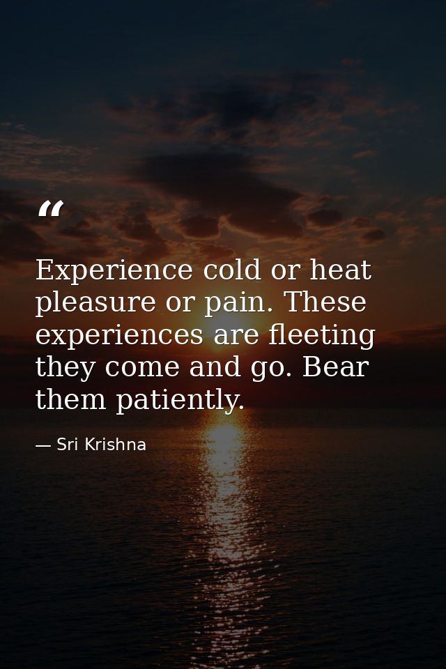 Experience cold or heat  pleasure or pain. These experiences are fleeting  they come and go. Bear them patiently. — Sri Krishna