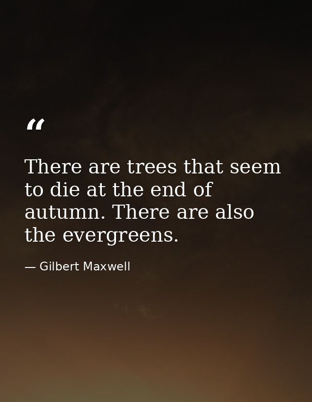 There are trees that seem to die at the end of autumn. There are also the evergreens. — Gilbert Maxwell