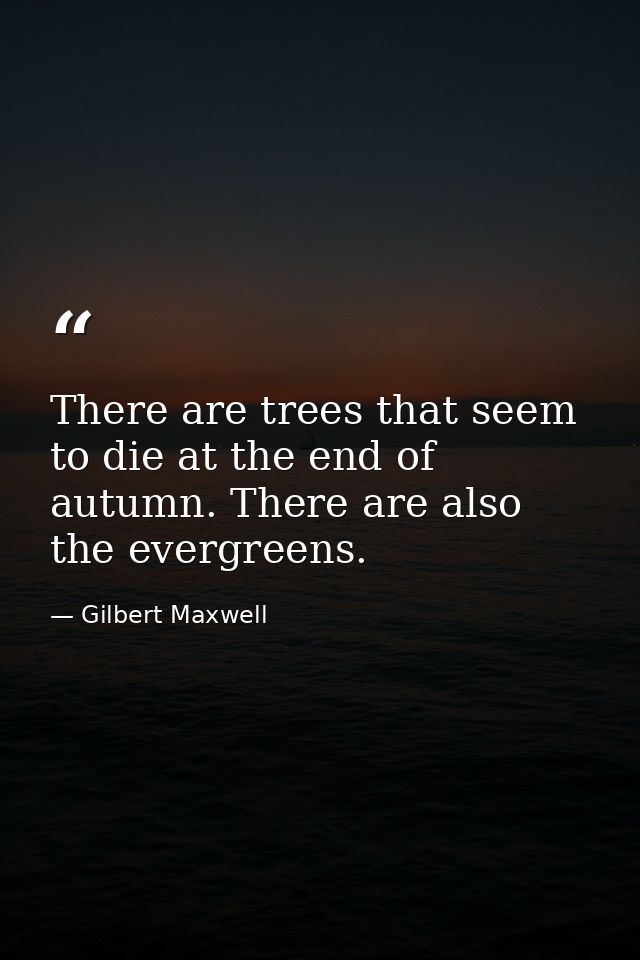 There are trees that seem to die at the end of autumn. There are also the evergreens. — Gilbert Maxwell