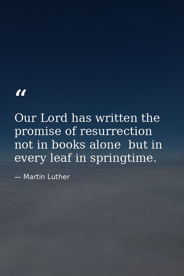Our Lord has written the promise of resurrection  not in books alone  but in every leaf in springtime. — Martin Luther