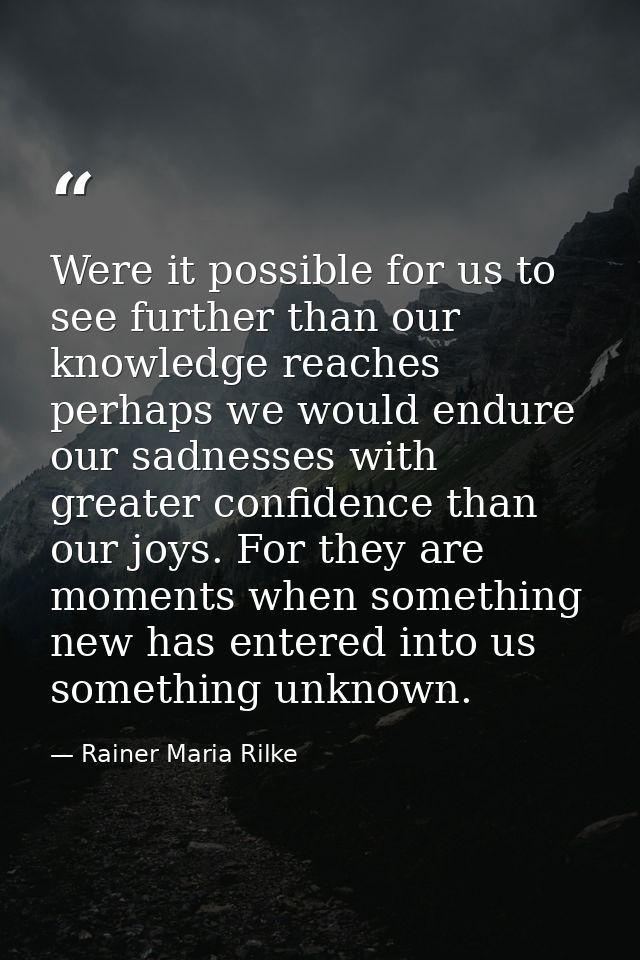 Were it possible for us to see further than our knowledge reaches  perhaps we would endure our sadnesses with greater co — Rainer Maria Rilke