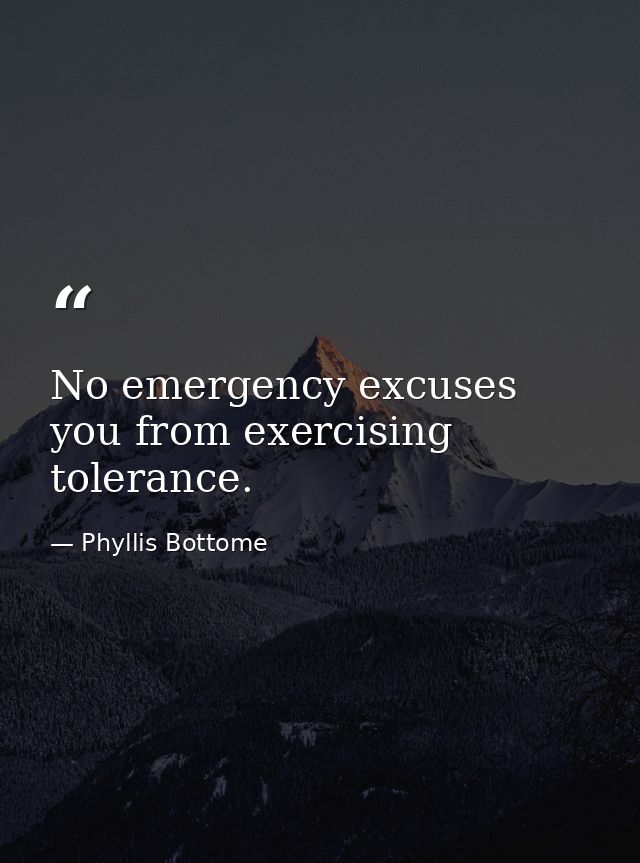 No emergency excuses you from exercising tolerance. — Phyllis Bottome