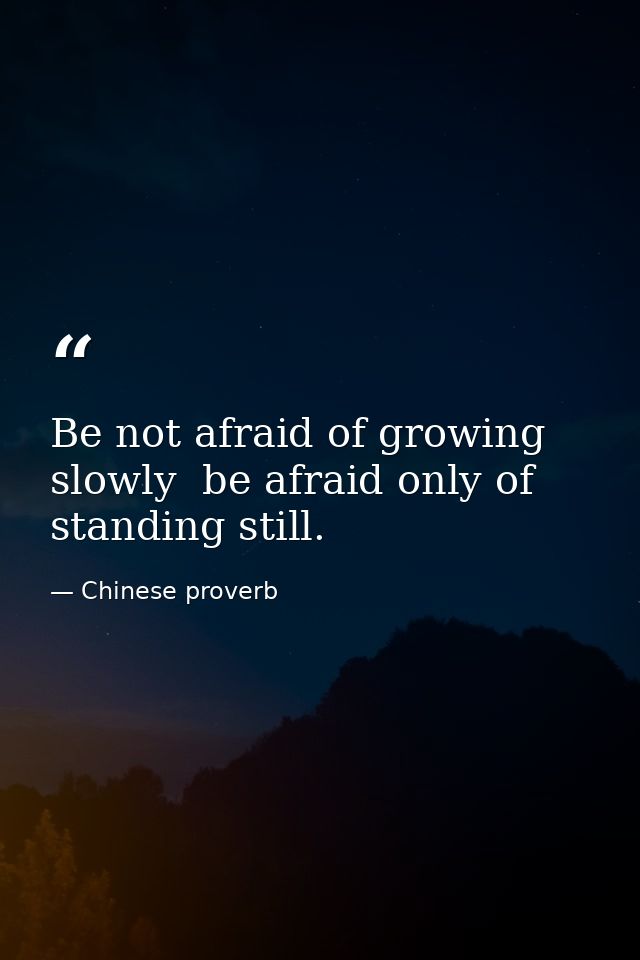 Be not afraid of growing slowly  be afraid only of standing still. — Chinese proverb