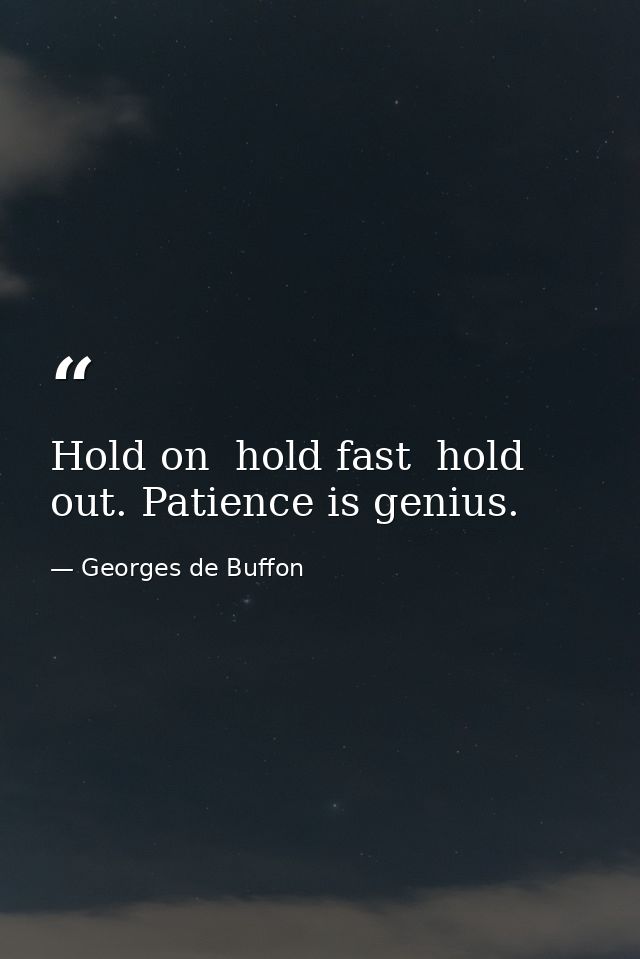 Hold on  hold fast  hold out. Patience is genius. — Georges de Buffon