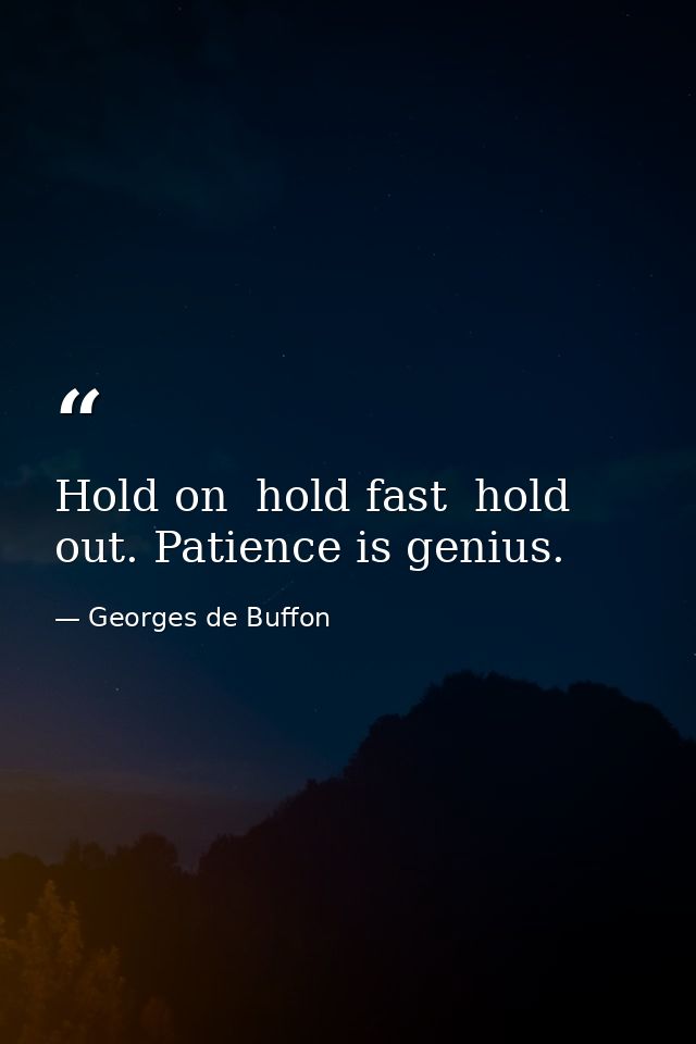 Hold on  hold fast  hold out. Patience is genius. — Georges de Buffon