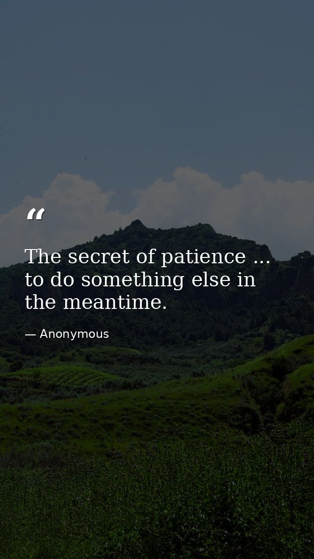 The secret of patience ... to do something else in the meantime. — Anonymous
