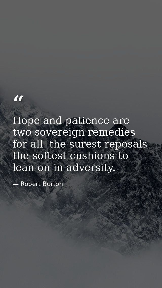 Hope and patience are two sovereign remedies for all  the surest reposals  the softest cushions to lean on in adversity. — Robert Burton