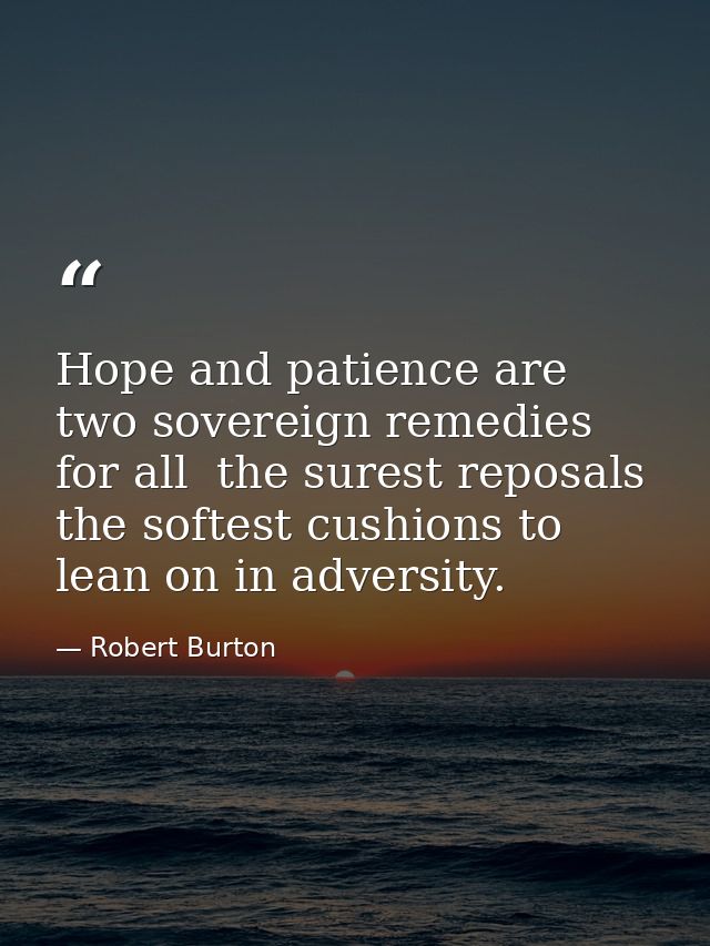 Hope and patience are two sovereign remedies for all  the surest reposals  the softest cushions to lean on in adversity. — Robert Burton
