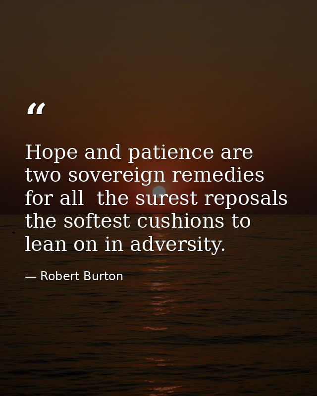 Hope and patience are two sovereign remedies for all  the surest reposals  the softest cushions to lean on in adversity. — Robert Burton