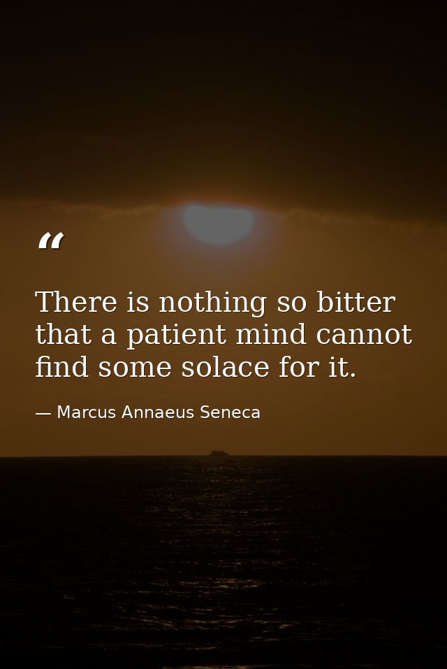 There is nothing so bitter that a patient mind cannot find some solace for it. — Marcus Annaeus Seneca