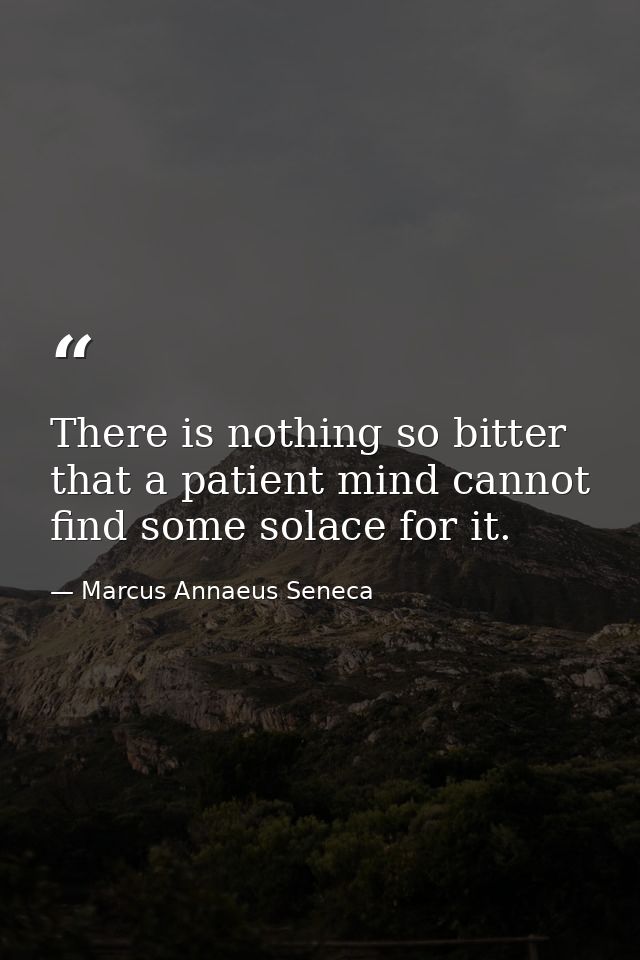 There is nothing so bitter that a patient mind cannot find some solace for it. — Marcus Annaeus Seneca