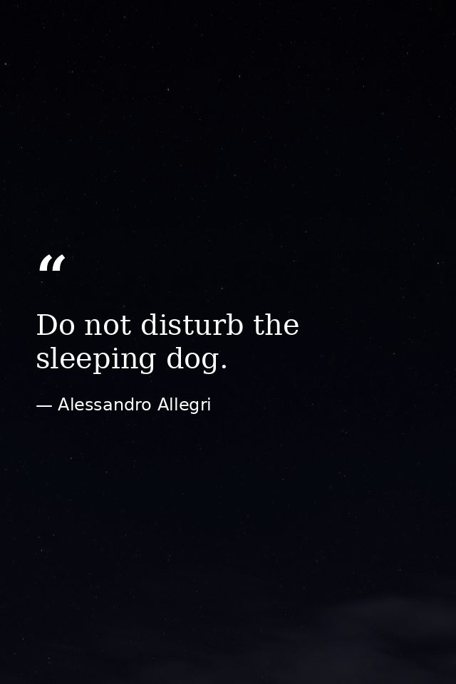 Do not disturb the sleeping dog. — Alessandro Allegri