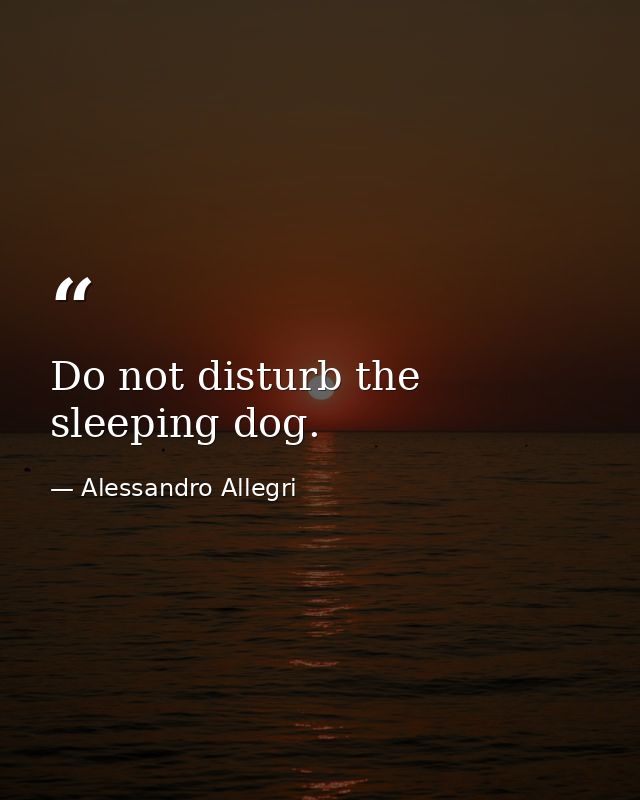 Do not disturb the sleeping dog. — Alessandro Allegri