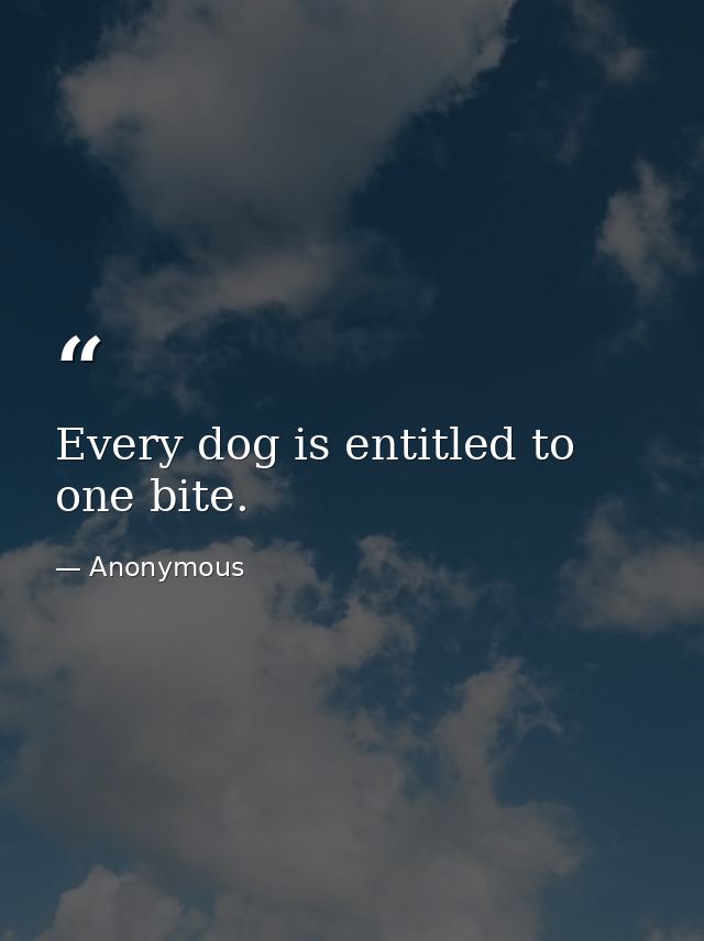 Every dog is entitled to one bite. — Anonymous