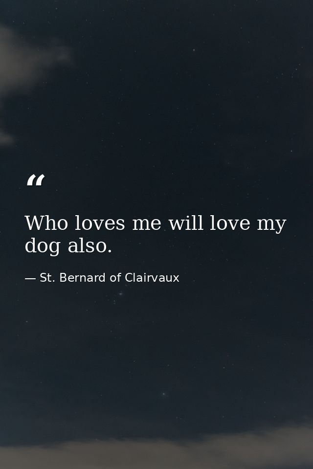 Who loves me will love my dog also. — St. Bernard of Clairvaux