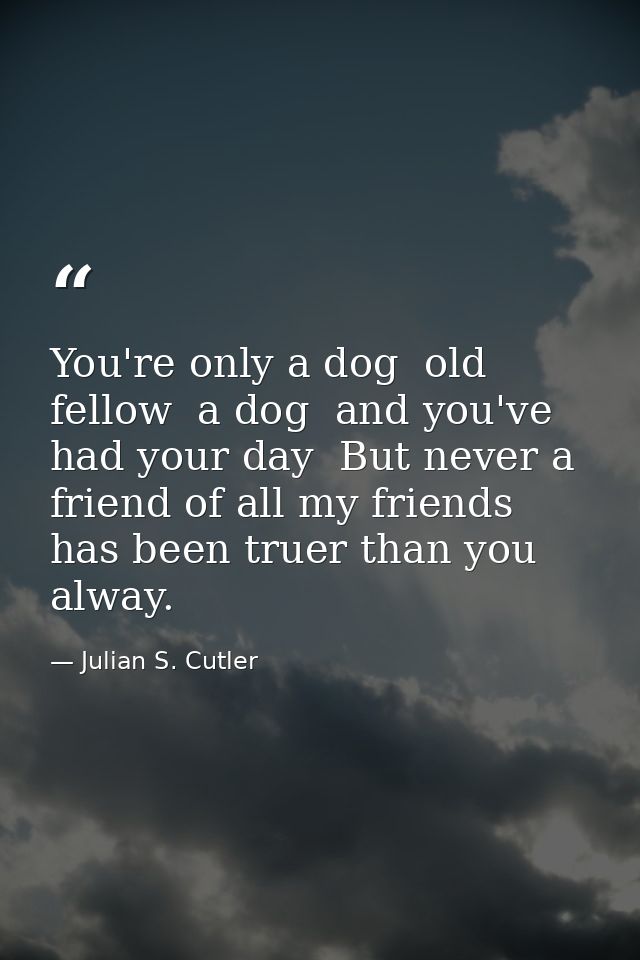 You're only a dog  old fellow  a dog  and you've had your day  But never a friend of all my friends has been truer than  — Julian S. Cutler