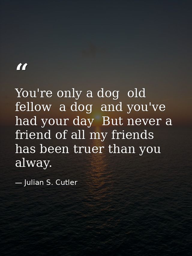 You're only a dog  old fellow  a dog  and you've had your day  But never a friend of all my friends has been truer than  — Julian S. Cutler