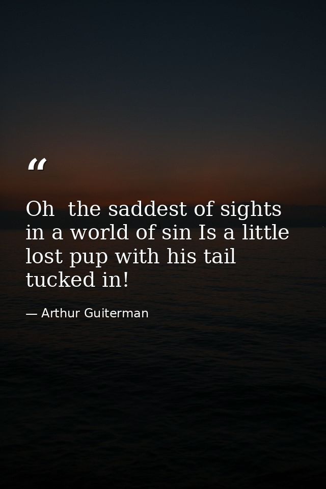 Oh  the saddest of sights in a world of sin Is a little lost pup with his tail tucked in! — Arthur Guiterman